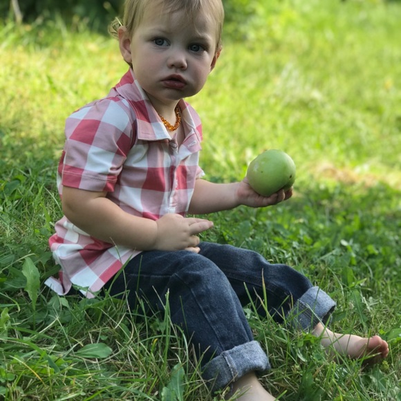 Well dressed wolf (Omi Jo) 18 mo. Boy collared cotton shirt - Picture 4 of 6